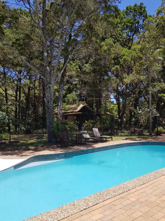 拜伦湾拜伦湾热带雨林度假酒店的一座树木繁茂的庭院内的游泳池