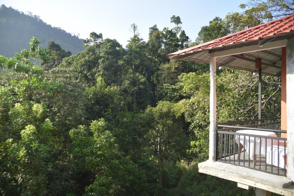 基图尔格勒White Villa Kitulgala的阳台享有树林美景。