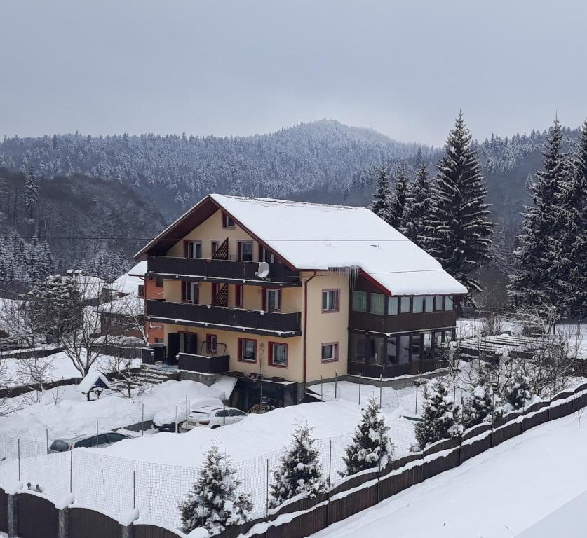 普雷代亚尔Casa Ticino Predeal的一座大建筑,屋顶上积雪