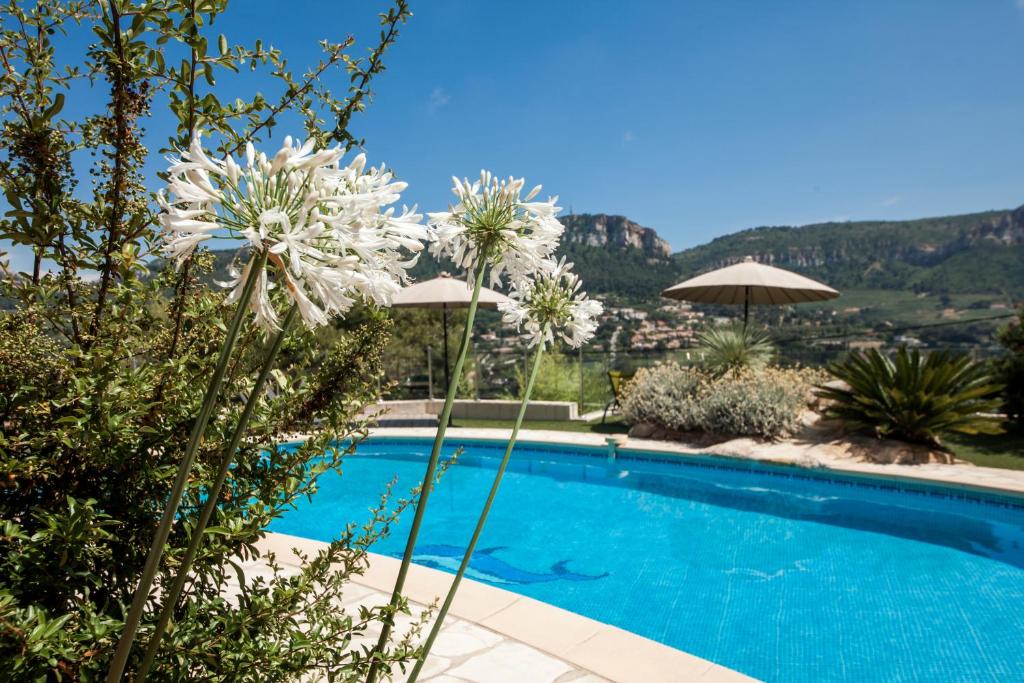 卡西斯拉迪莫意料之外住宿加早餐旅馆的一座种有白色花卉和山脉的游泳池