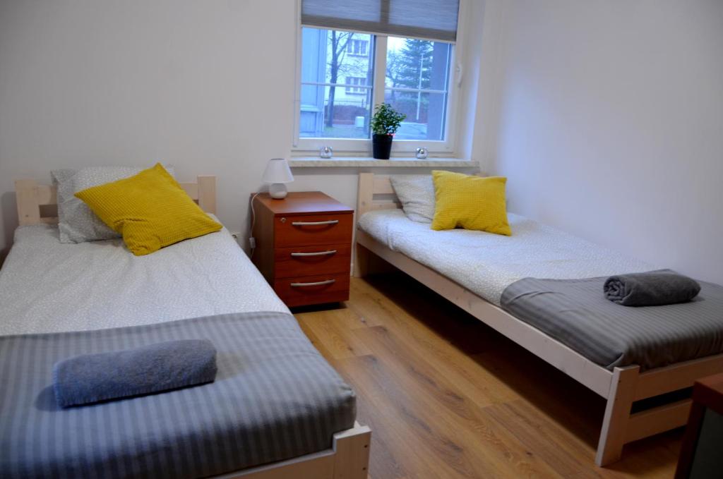 弗罗茨瓦夫Hostel 55 - darmowy parking的带窗户的客房内设有两张单人床。