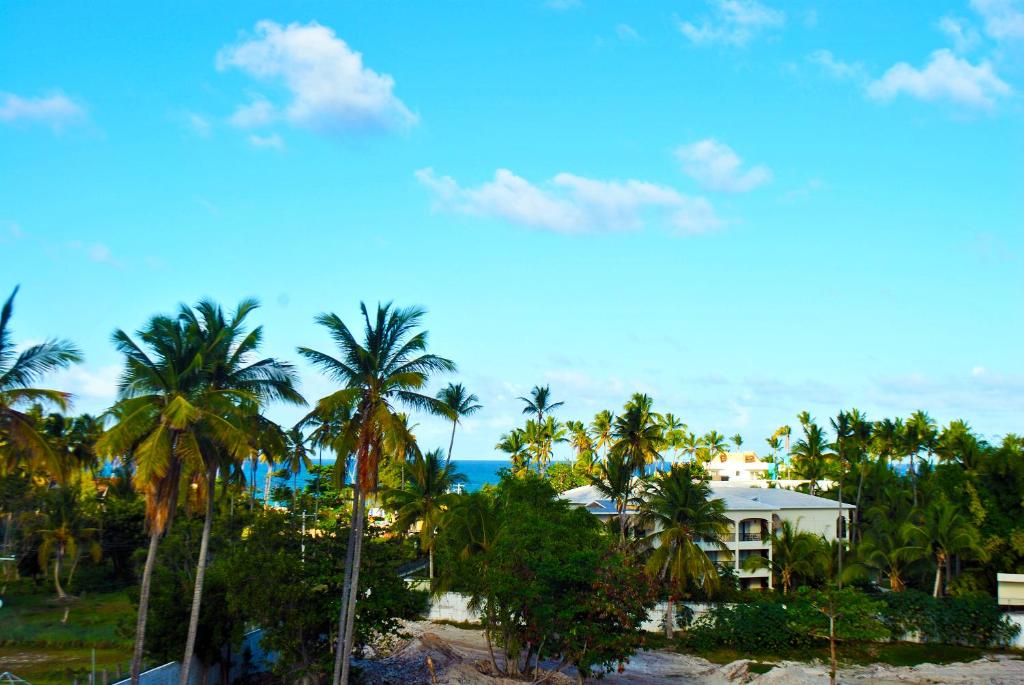 蓬塔卡纳Hostel Eco Punta Cana的享有棕榈树度假村和大海的景致。