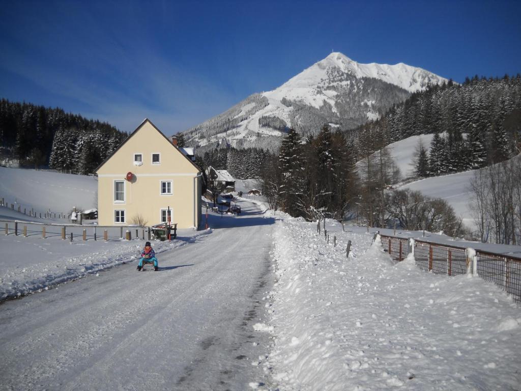 VordernbergFerienwohnung Bluemelhube Wohnung Anja的一个人在雪覆盖的道路上滑雪,有房子