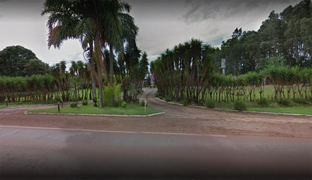 TaperaMotel Paradiso - Tapera的一条在路边种有棕榈树的道路