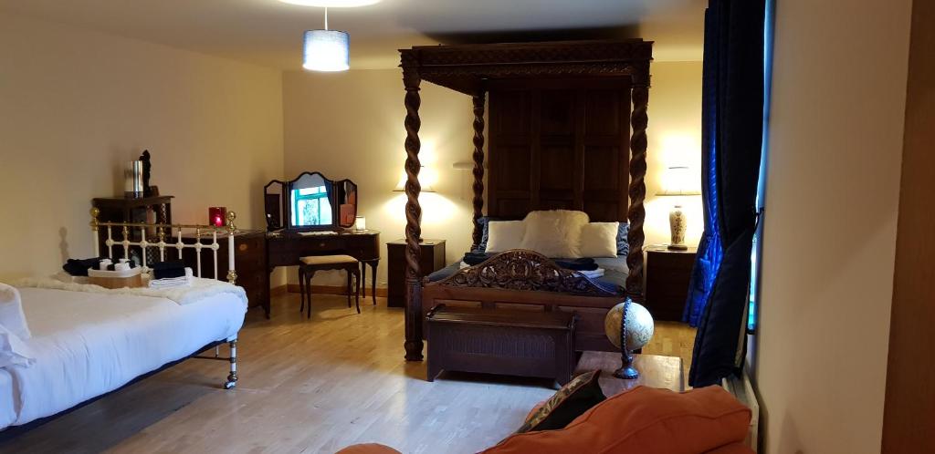 卡斯尔格雷戈里Stradbally cottages的一间卧室配有一张床、镜子和电视