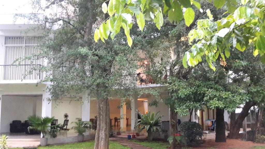 阿努拉德普勒苏顿鲁姆旅游度假酒店的前面有树木的白色房子