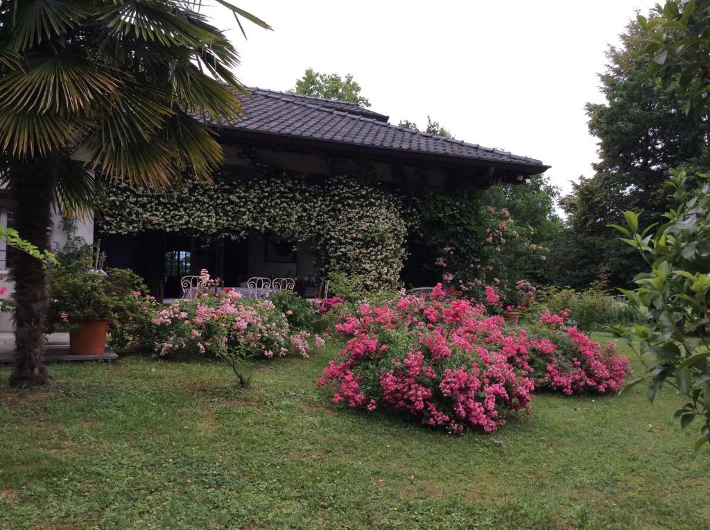 TricesimoLe querce的一座花园,在房子前方种有粉红色的花朵