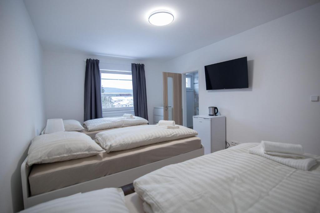 HoÅ¡Å¥kaApartment Tereza的客房设有三张床和一台平面电视。