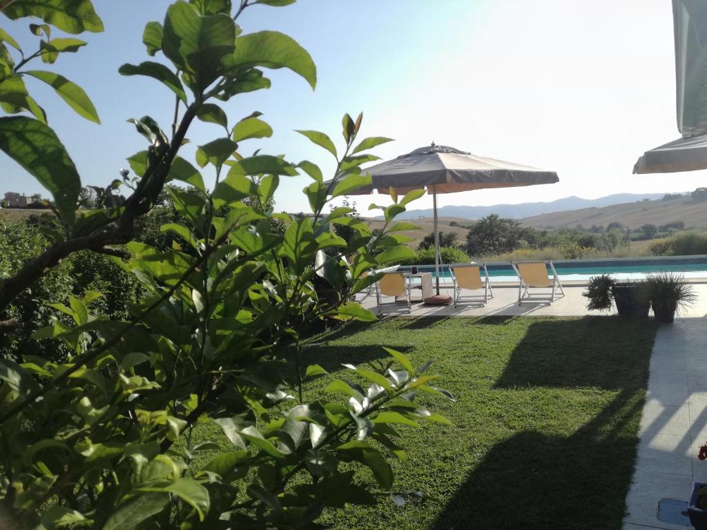 圣卢切Agriturismo Podere il Fornacino的游泳池旁的天井配有椅子和遮阳伞。