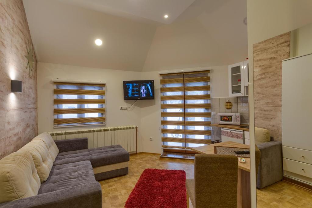兹拉蒂博尔奥米耶尼公寓 的带沙发和电视的客厅