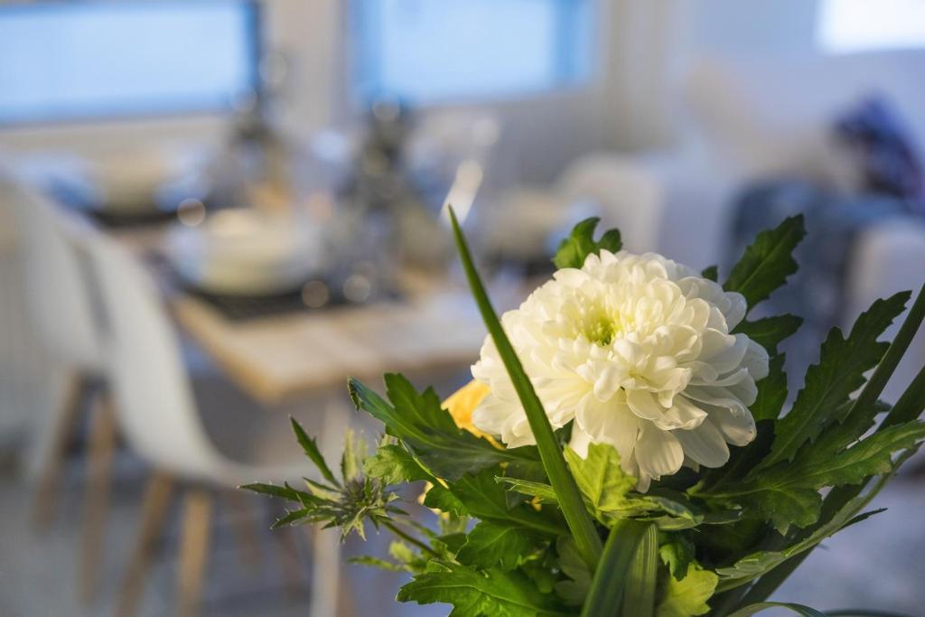 罗瓦涅米Tuomas´ luxurious suites, Livo的花瓶,上面有白色的花朵