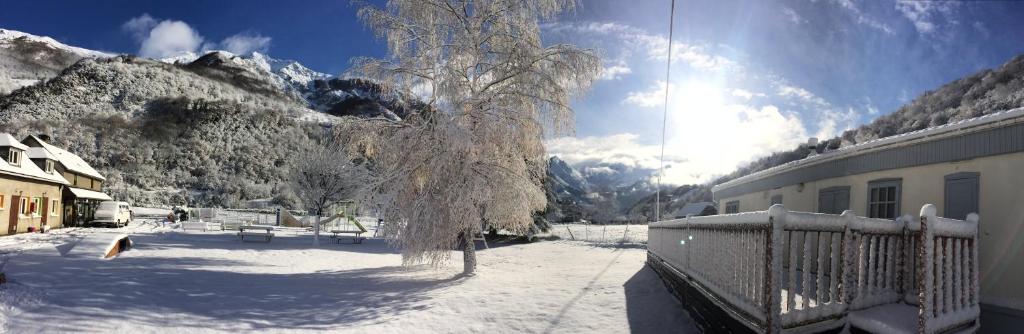 SaligosCamping Happy Pyrénées的一座建筑物旁的雪覆盖着的树
