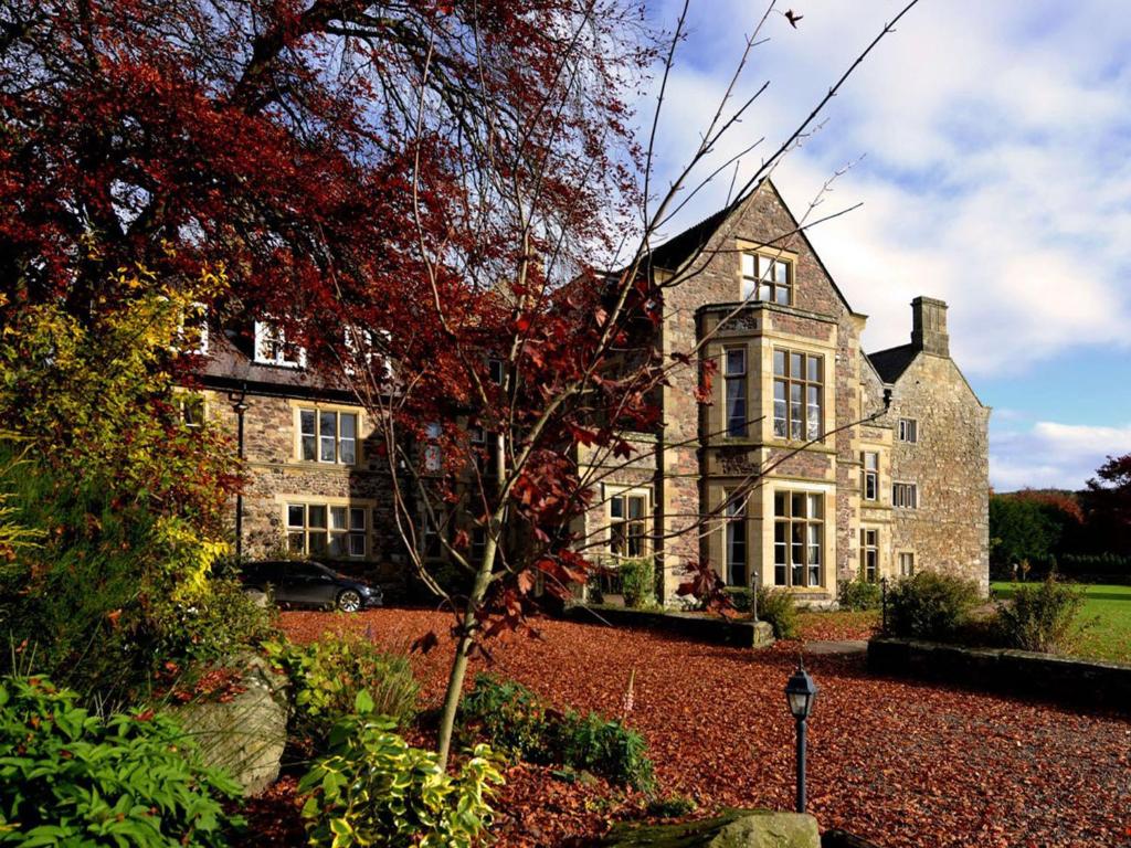 AlwintonClennell Hall Country House - Near Rothbury - Northumberland的一座古老的石头房子,前面有一棵树
