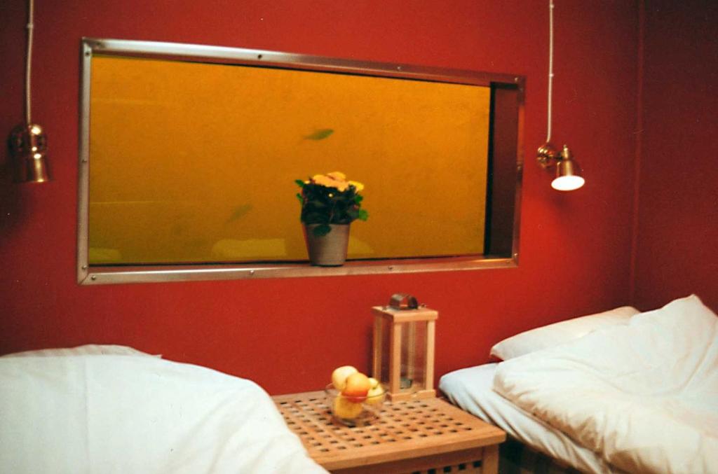 韦斯特罗斯Utter Inn的一间设有两张床的房间和一个种植了植物的窗户