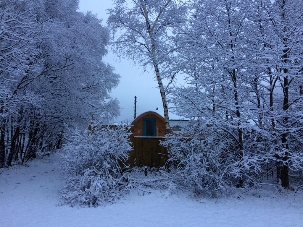 金洛赫利文Nevis Pod, West Highland Way Holidays的雪覆盖的树林中的小屋