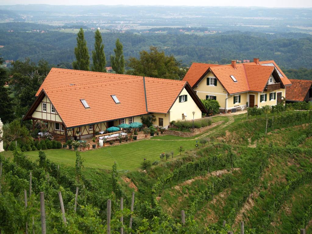 绍萨尔地区基策克Weingut Albert, Familie Cramer的一座带葡萄园的山顶房子