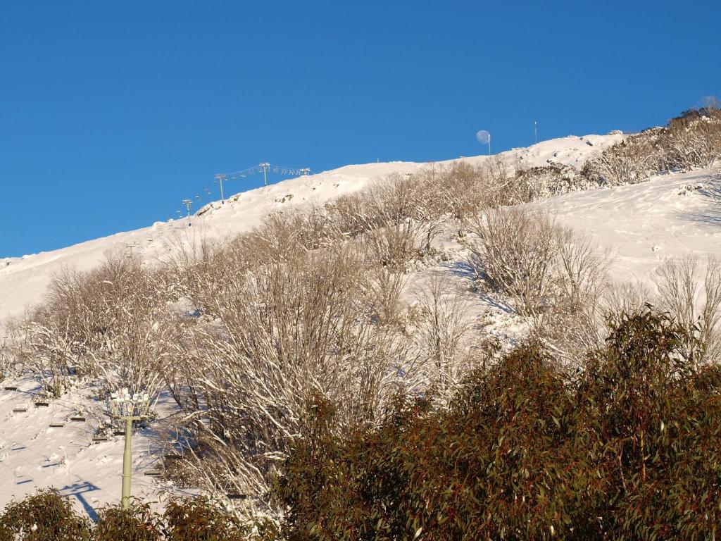 山景或在度假酒店看到的山景