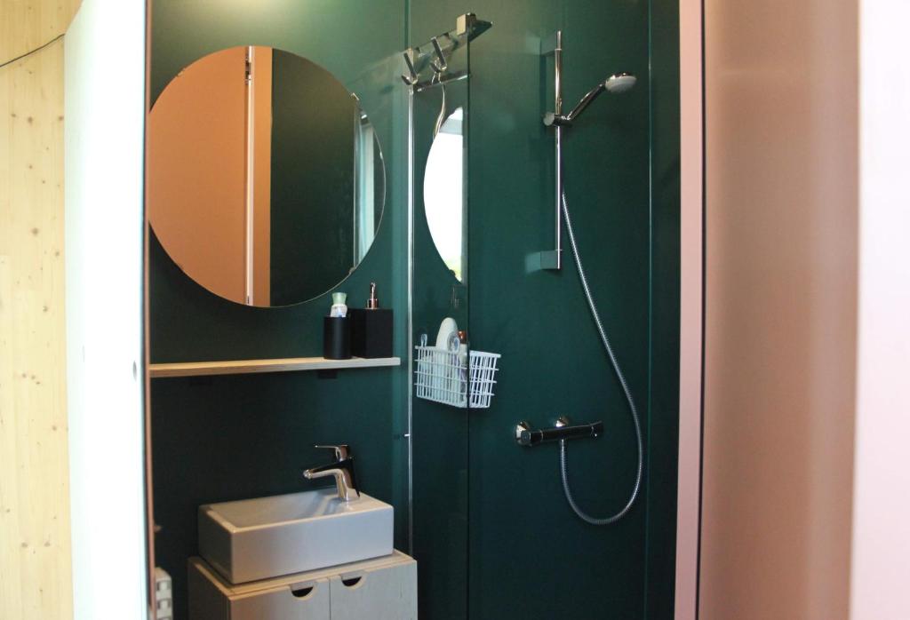 蒂尔堡ROOTS Tiny House的绿色浴室设有淋浴和水槽