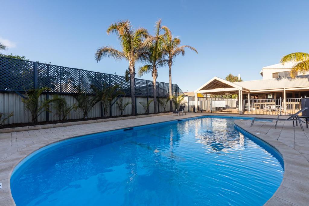 杰拉尔顿帆杰拉尔顿住宿酒店的一个种有棕榈树的大型蓝色游泳池
