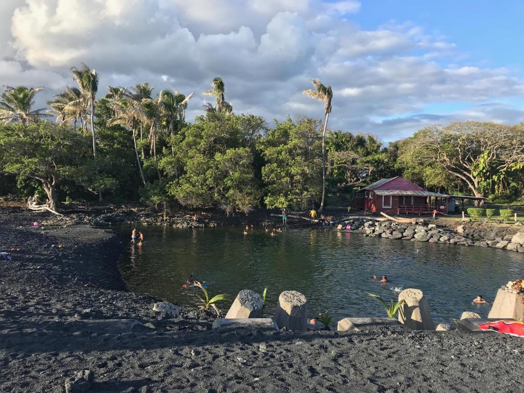 Kehena柯伊娜海豚小屋旅馆的公园里的一个池塘,人们在里面游泳