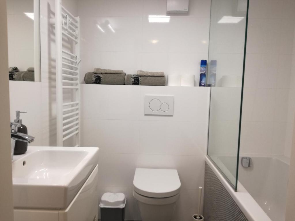 赫拉德茨 - 克拉洛韦Malý útulný byt V Lipkách的白色的浴室设有卫生间和水槽。