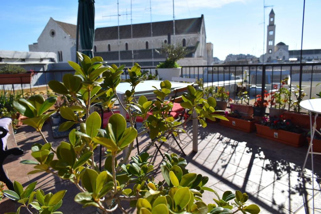 巴里特斯波罗德利阿布鲁安杰利住宿加早餐旅馆的享有种植了植物的阳台的景色