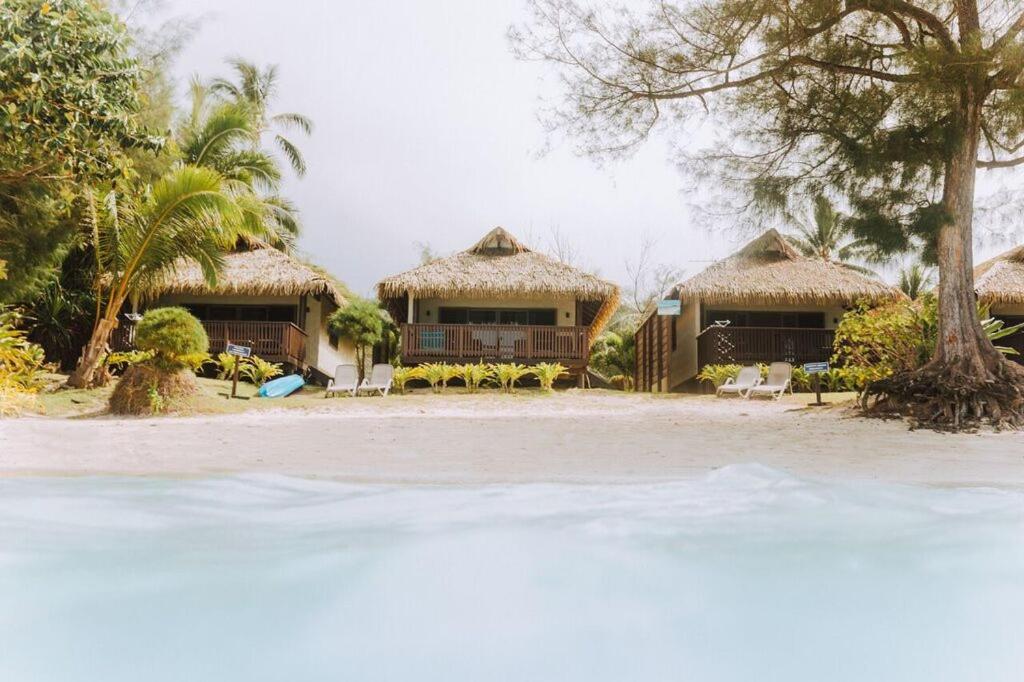 拉罗汤加穆里海岸酒店的海滩上的房子,有椅子和树木