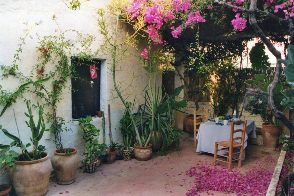 厄尔·坎皮洛·德·罗达尔Casa de la Buganvilla的庭院设有桌子和一些植物和鲜花