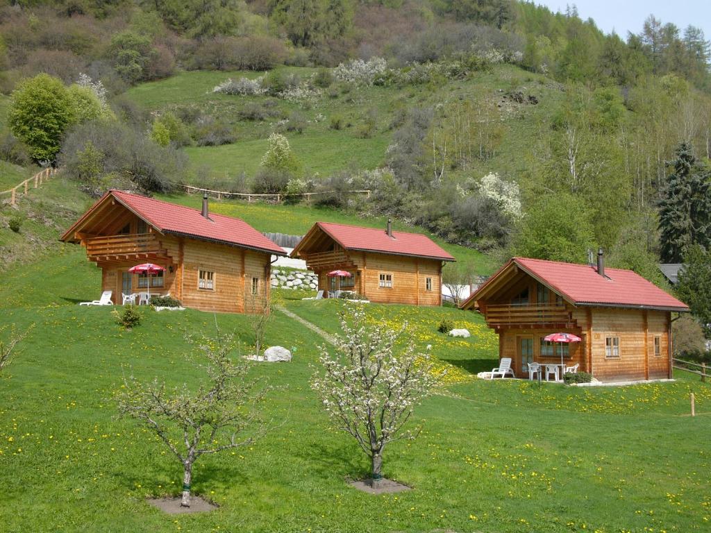 米施泰尔Chalets Trafögl的两个带红色屋顶的木屋
