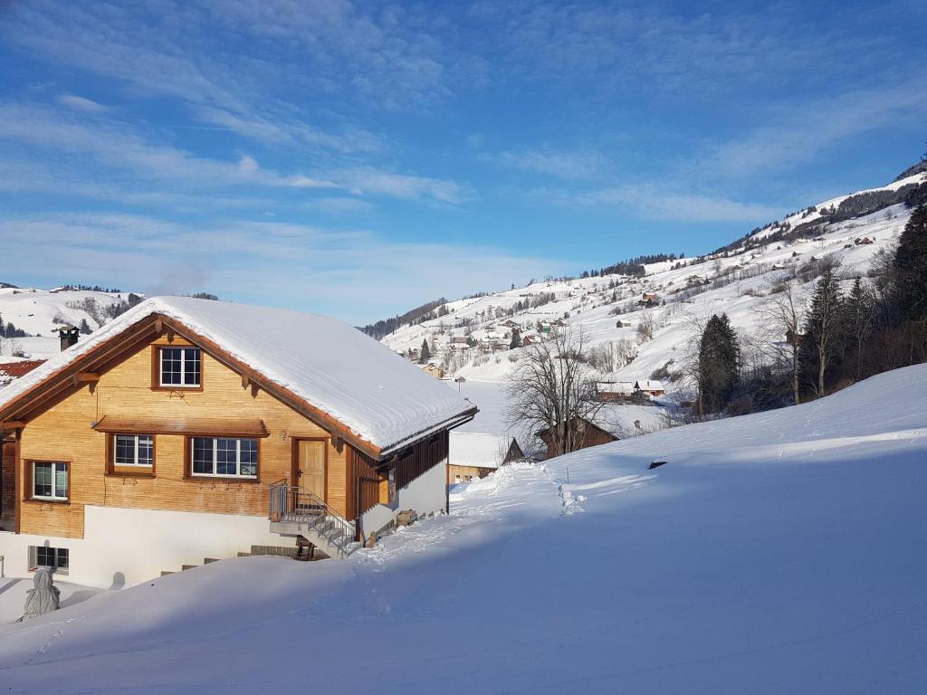 NesslauFerien im Gugger的雪中木屋,雪覆盖着