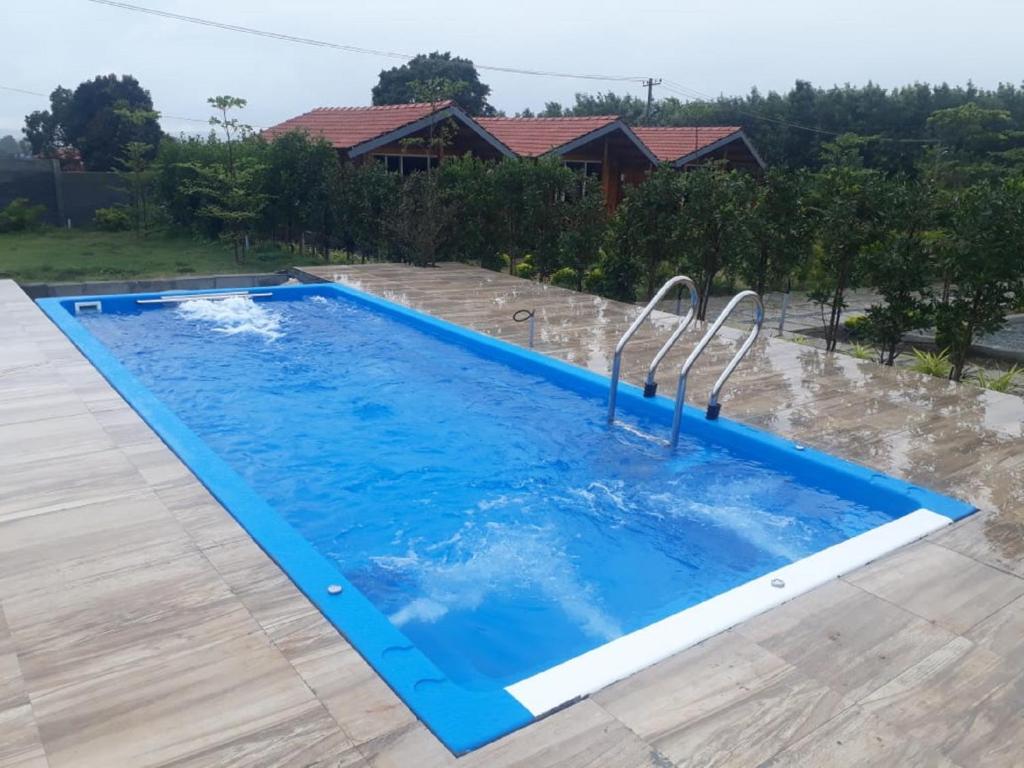 奇克马格尔Trippr Chikkamagaluru的一座房子后院的游泳池