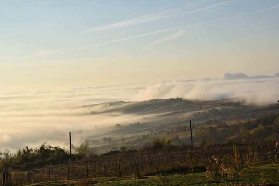 Boldeşti-ScăeniCasuta de pe dealul Seciu的天空中云层的景象