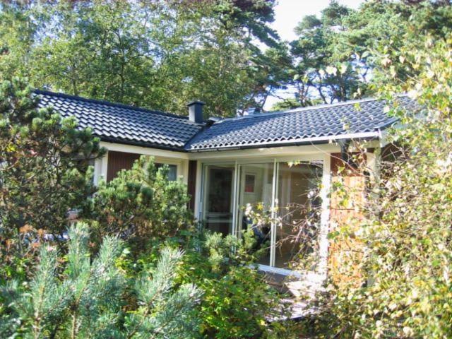 DegebergaStrandstugan的一座拥有蓝色屋顶和树木的小房子