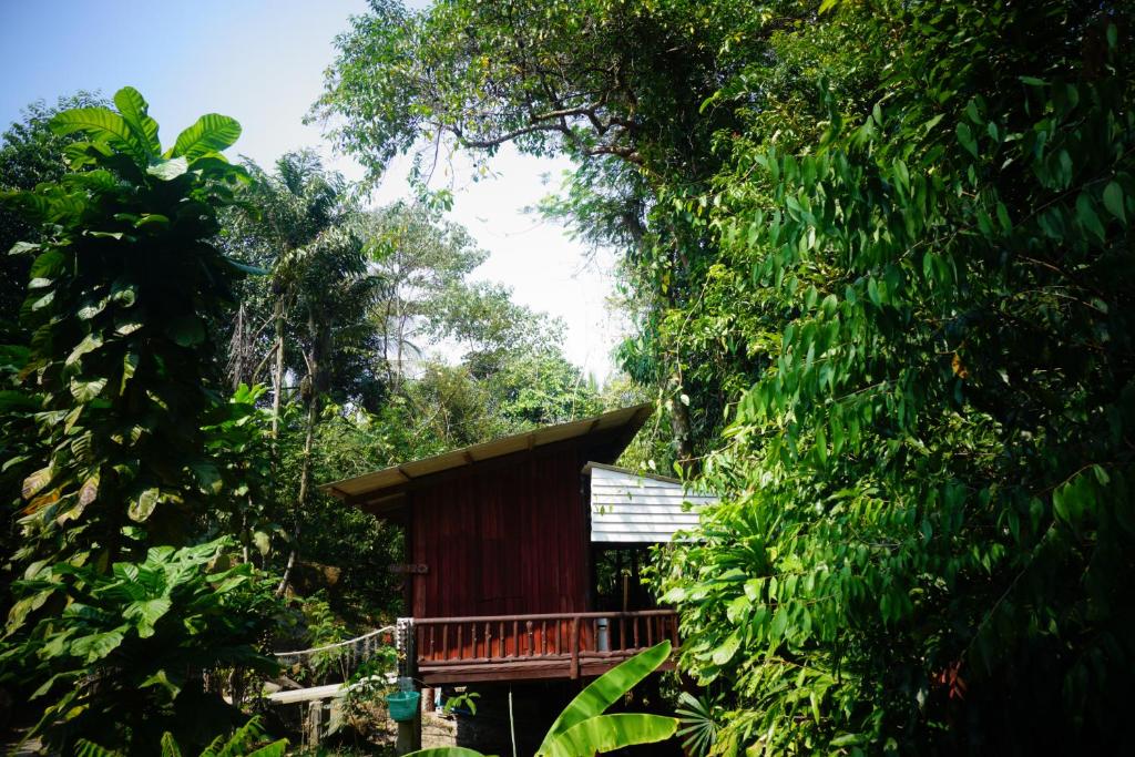 库德岛库德岛木小屋旅馆的树中间的小小屋