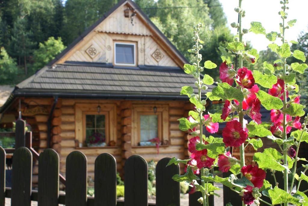 安德雷胡夫CHATA PACHNĄCA LASEM的红花围栏后面的小木屋