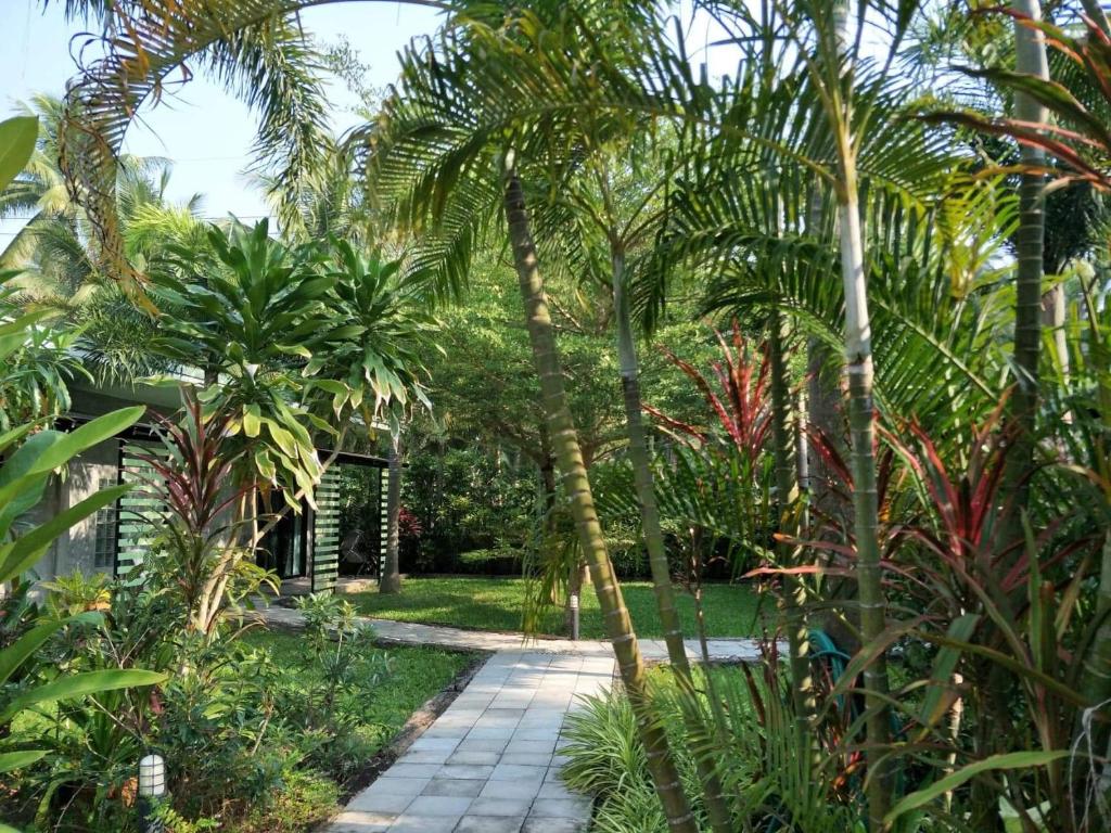 邦沙潘The Leaf Bankrut的种有棕榈树和步道的花园