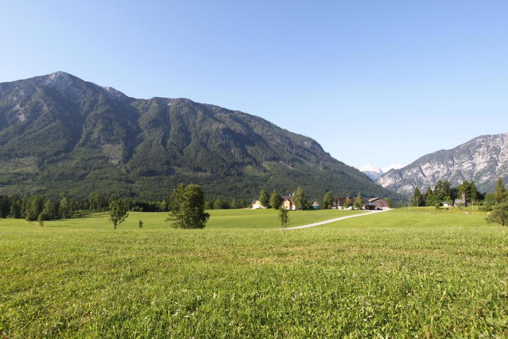 巴特奥塞Haus Stangl的一片绿草丛,山地背景