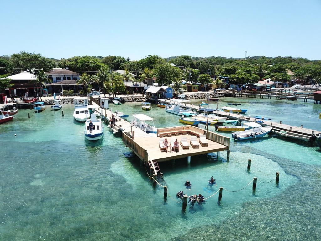 西区Splash Inn Dive Resort & Villas的享有码头的空中景色,在水中划船