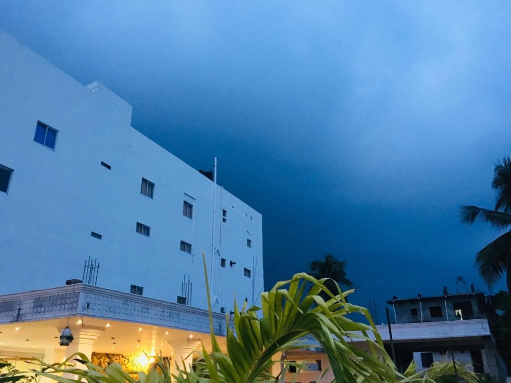 贾夫纳Hotel Lovusiyah的一座白色的建筑,前面有棕榈树