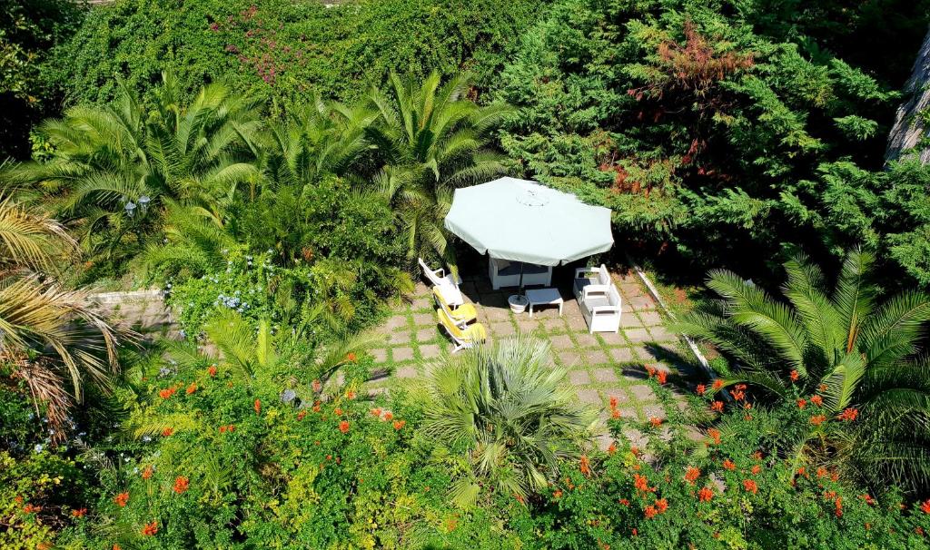 泰卡斯安娜别墅花园住宿加早餐旅馆的花园帐篷的空中景致