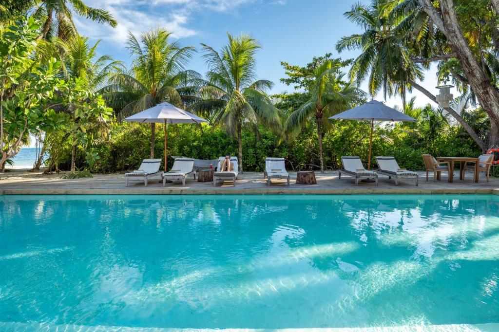 普拉兰大安塞区Bliss Hotel Praslin的毗邻大海的带椅子和遮阳伞的游泳池