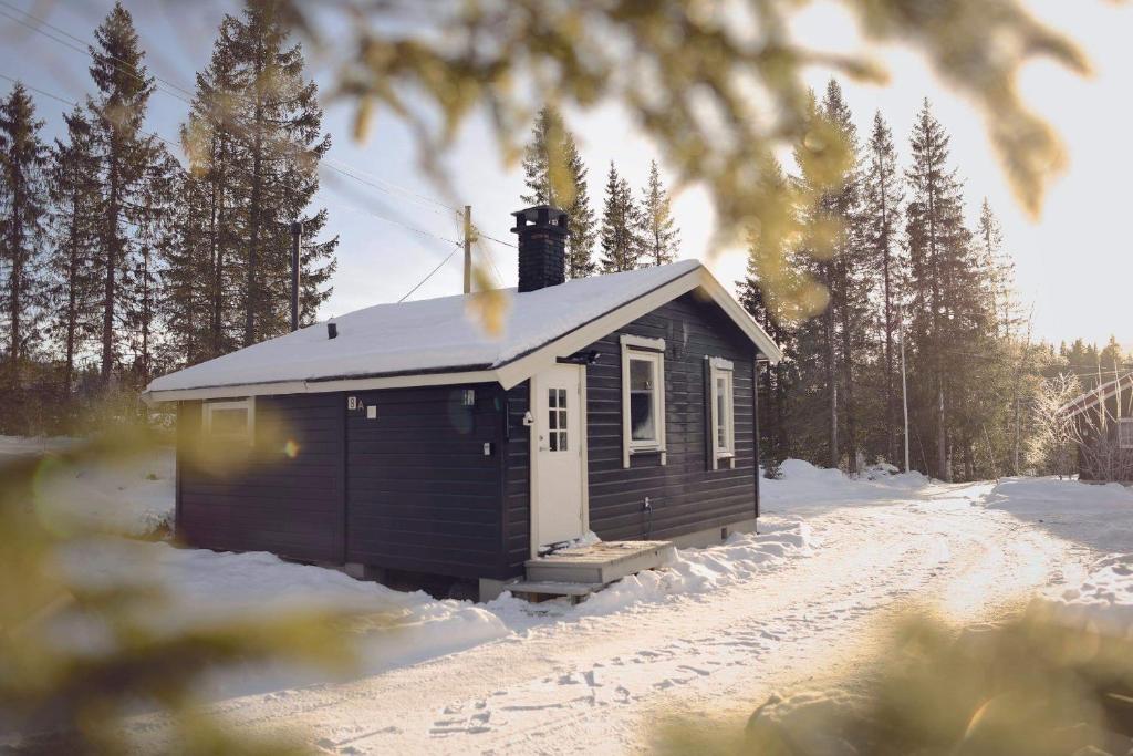 海姆瑟达尔Koselig Hytte i Hemsedal的雪上的小小屋,有树