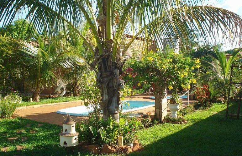 奥林匹亚Pousada Recanto Lara的棕榈树和院子内的游泳池