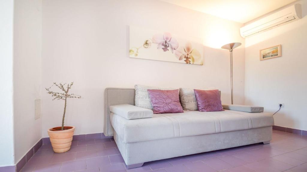 梅杜林梅杜林公寓的客厅里白色的长沙发,有盆栽植物