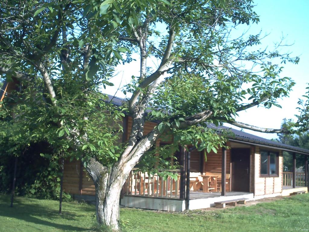 萨诺克Pod Orzechem的小木屋前面有棵树