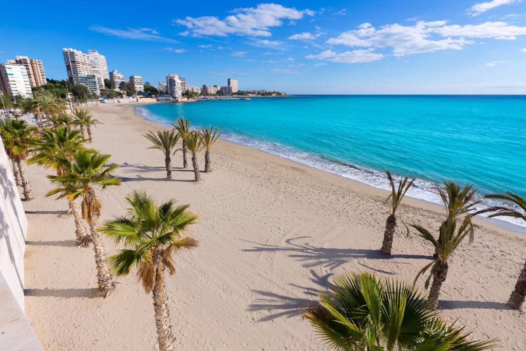 阿利坎特Hostal El Paraiso Playa Alicante的棕榈树海滩和海洋