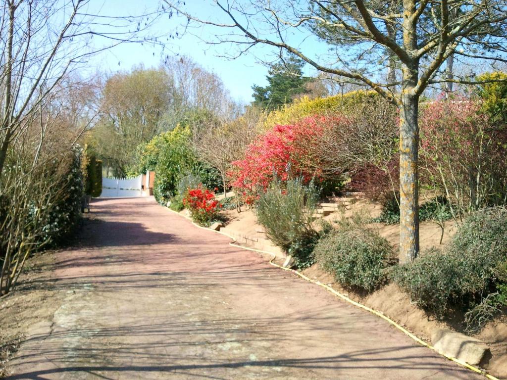 绍莱马斯杜特意松住宿加早餐旅馆的花草树木花园中的一条小径