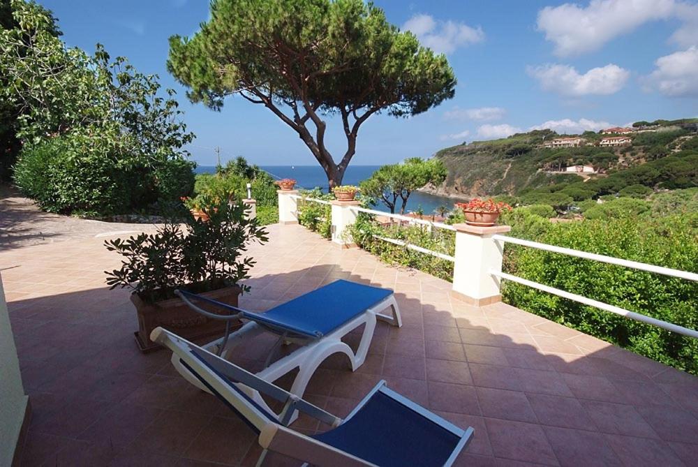 卡波利韦里Residence Villa Morcone的庭院设有两把椅子和一张桌子,还有一棵树