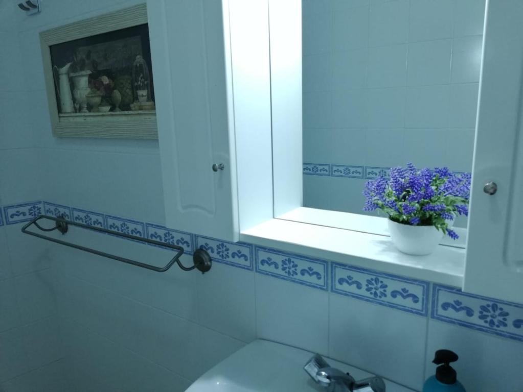 洛斯·亚诺斯·德·阿里丹Miguelangelo的浴室设有水槽、镜子和植物