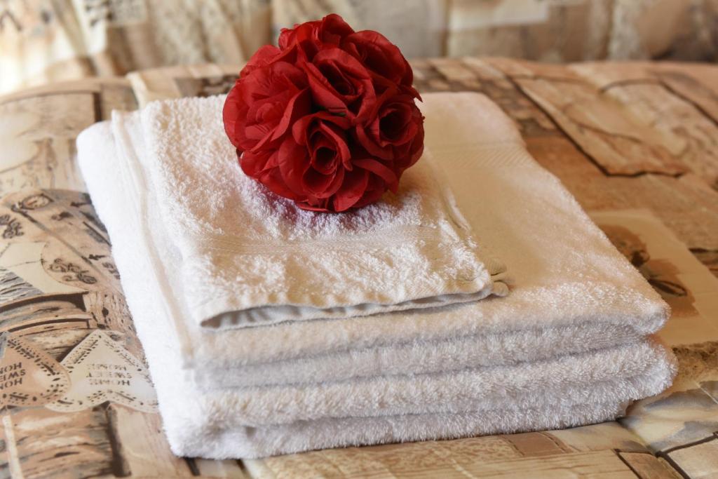 罗马诺迪隆巴尔迪亚Welcome Garden的一堆毛巾上挂着红玫瑰